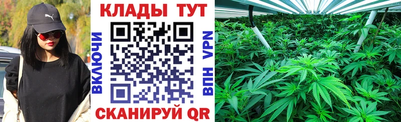 Все наркотики Малоархангельск Псилоцибиновые грибы АМФ Мефедрон COCAIN Alpha PVP ОМГ ОМГ сайт Бошки Шишки