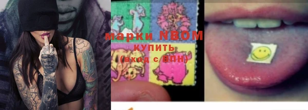 гидропоника Белокуриха