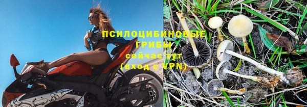 меф Богородицк
