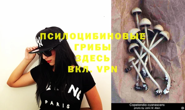 бутират Лихославль